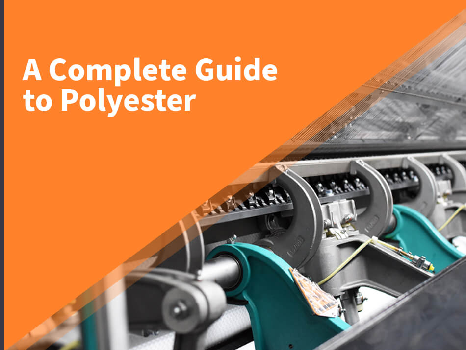 Guide to polyester infographic
